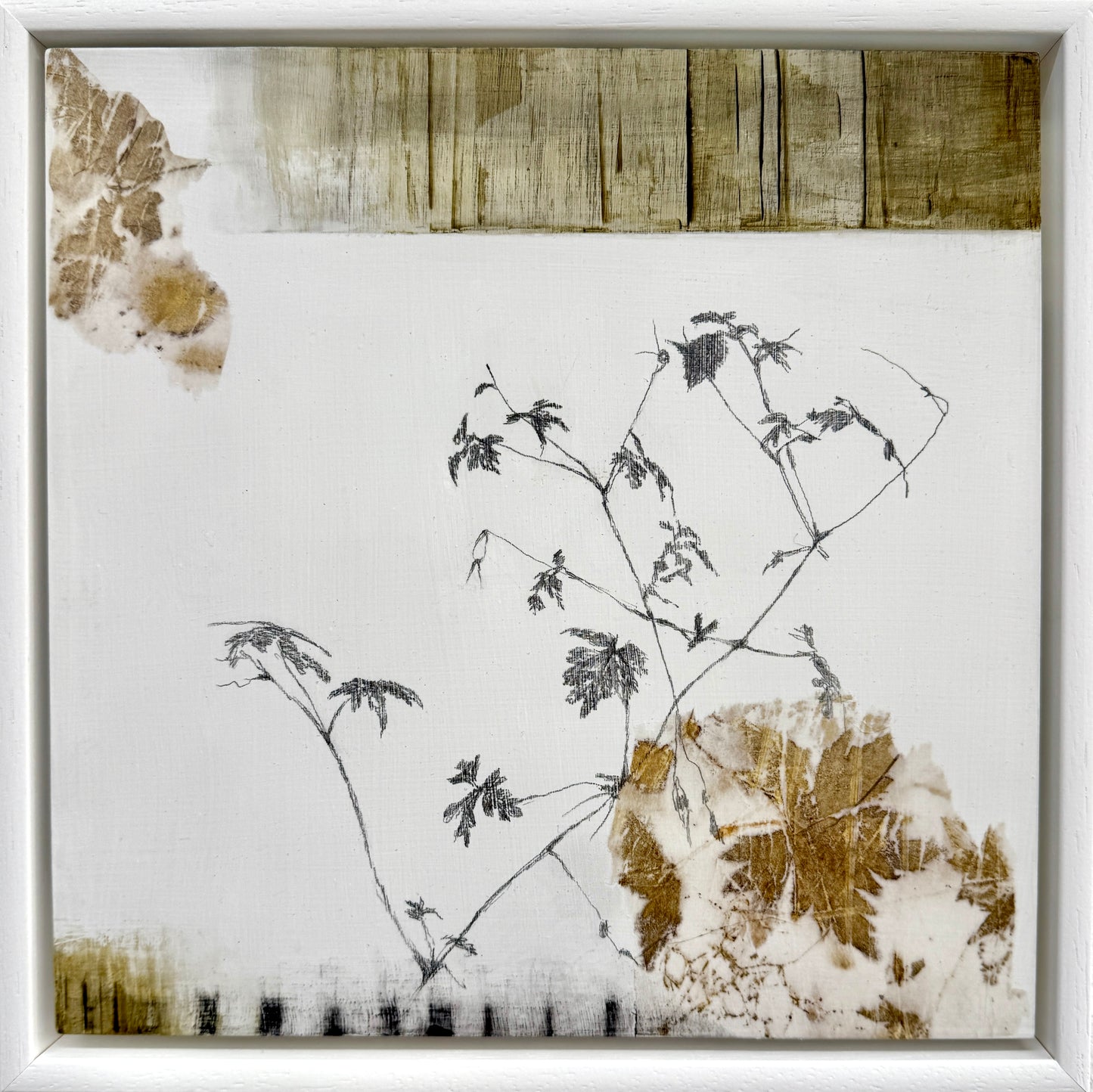 Ephemeral Impressions